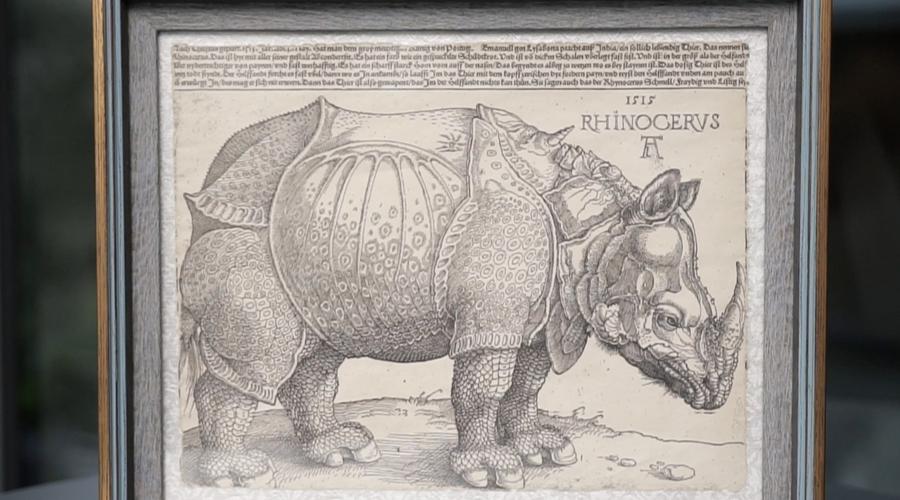 威尼斯犀牛名画欣赏（世界名画犀牛）